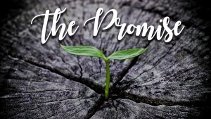 The Promise