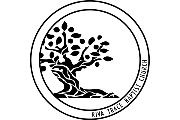600x400 circle tree black